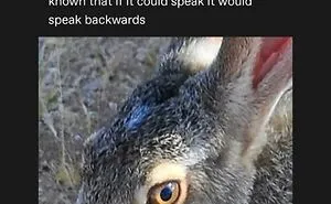 47 Of The Funniest Tumblr Posts That Deserve To Be Seen And Appreciated Again