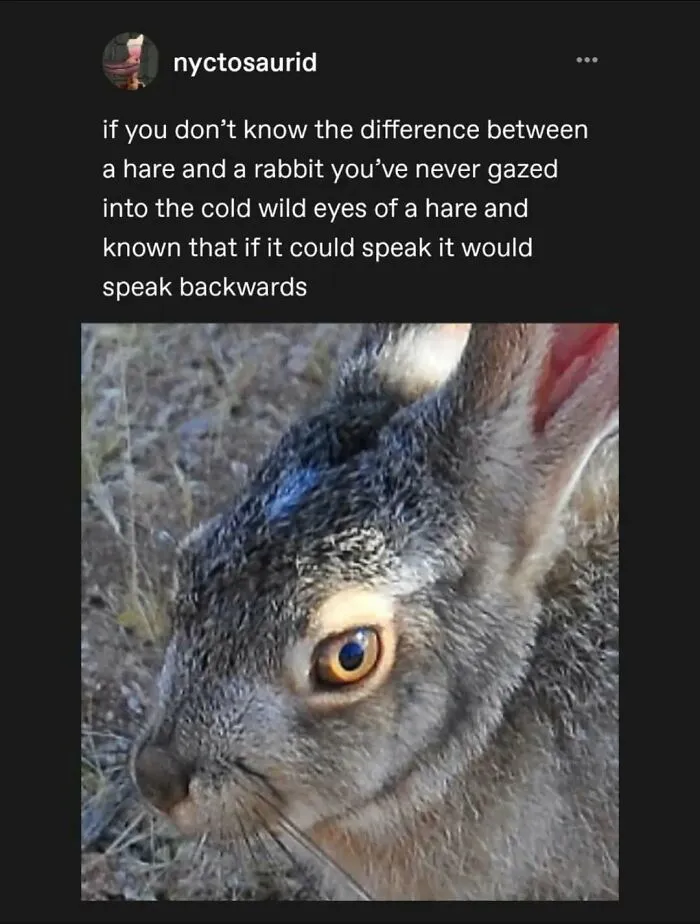 47 Funny Tumblr Posts That Deserve To Be Seen By Those Who Never Used It