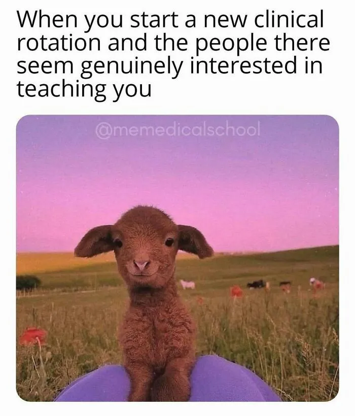 85 Funny Medical Memes That Might Be Just What The Doctor Ordered