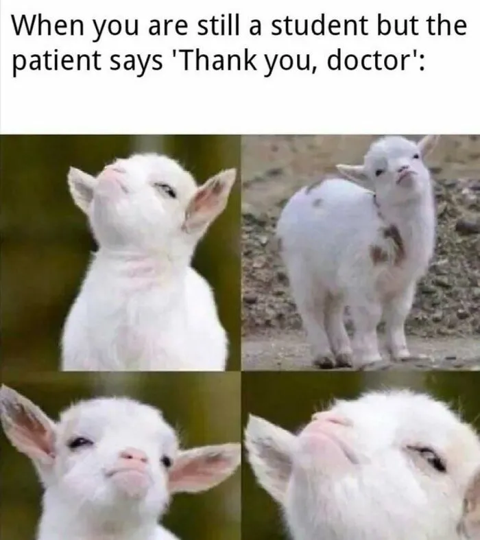 85 Funny Medical Memes That Might Be Just What The Doctor Ordered