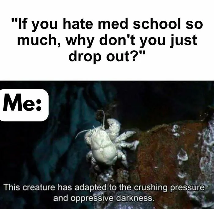 85 Funny Medical Memes That Might Be Just What The Doctor Ordered