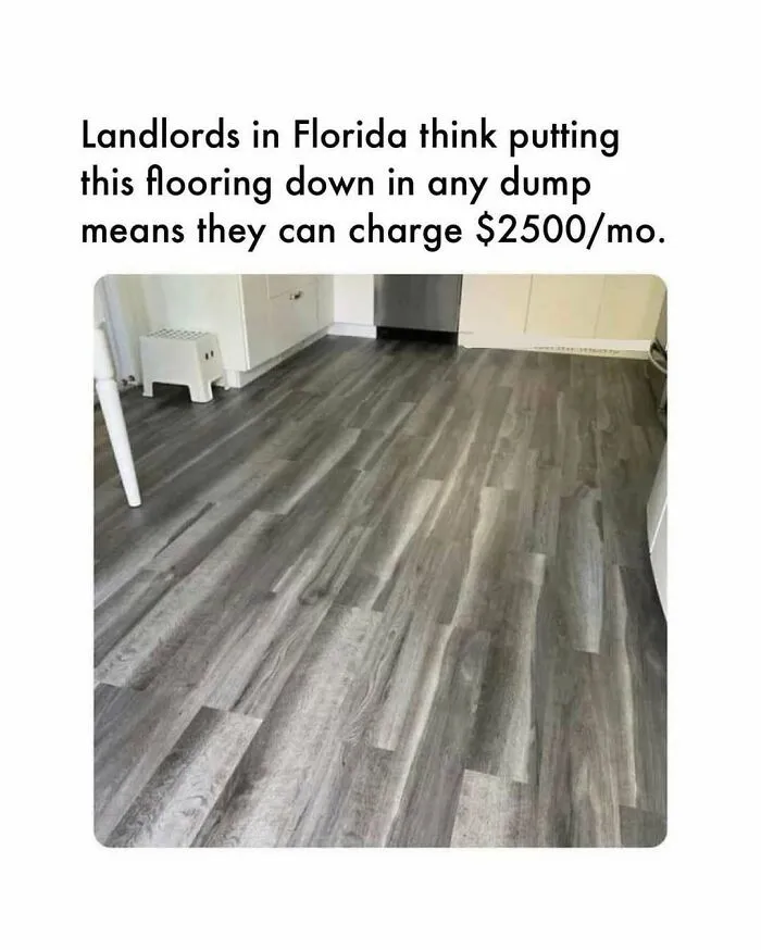 56 Florida Pics That Make Common Sense Feel Optional