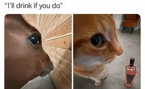 800K People Love This Page’s Sense Of Humor, Here Are 65 Of Its Best Posts