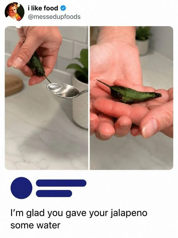 800K People Love This Page’s Sense Of Humor, Here Are 65 Of Its Best Posts