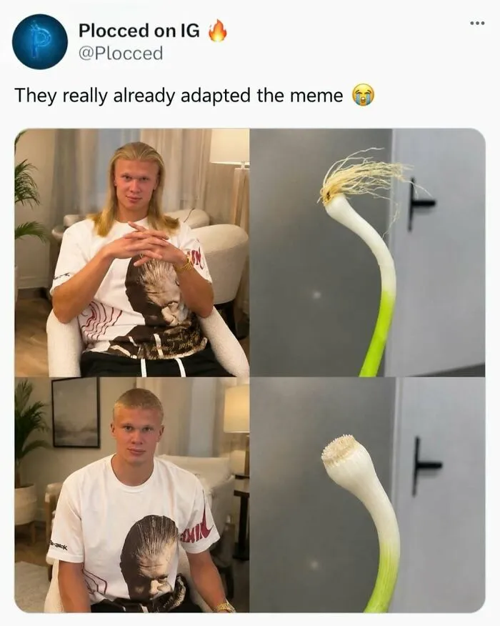Funny-Memes-Pics