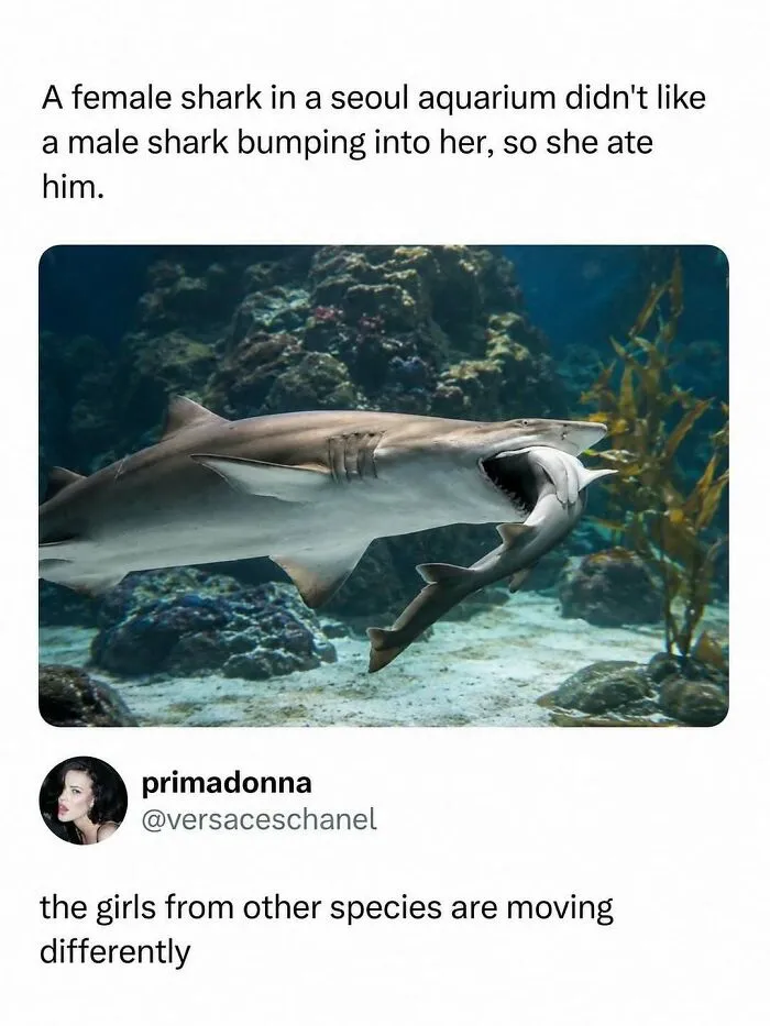 800K People Love This Page’s Sense Of Humor, Here Are 65 Of Its Best Posts