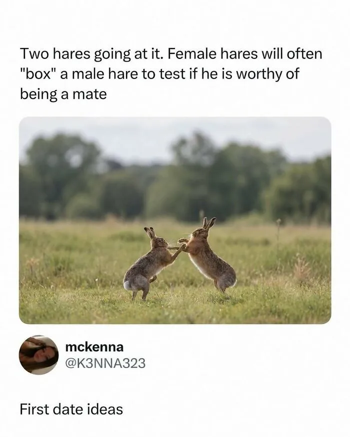 800K People Love This Page’s Sense Of Humor, Here Are 65 Of Its Best Posts