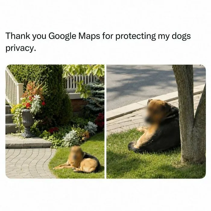 800K People Love This Page’s Sense Of Humor, Here Are 65 Of Its Best Posts