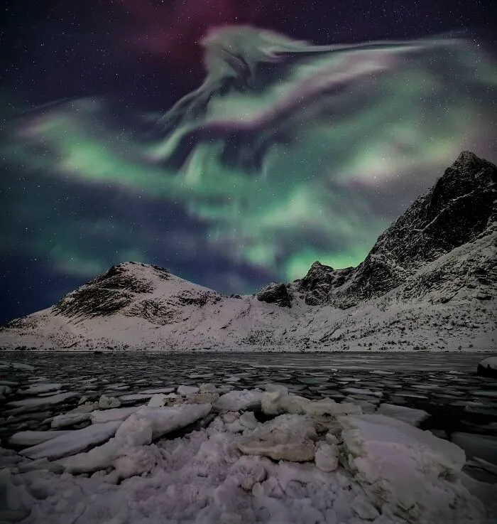 “Eagle Aurora” By Jennifer Rogers