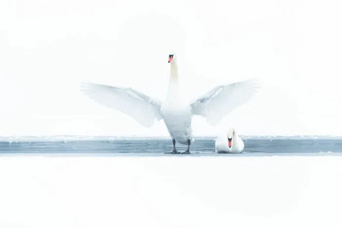 Next Door – Running Away, Coming Home And Photographing The Landscape On Your Doorstep By Felix Wesch