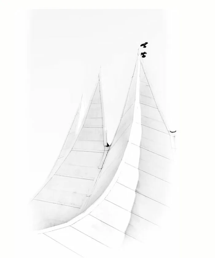 “Two Birds” By Fritz Mehner