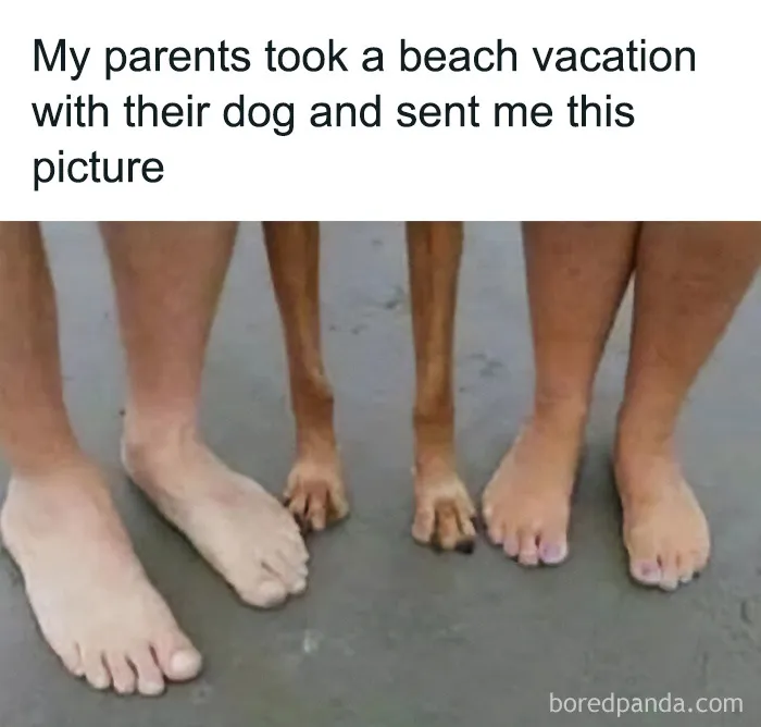 Travel Memes That Capture The Chaos Of Going On Vacation