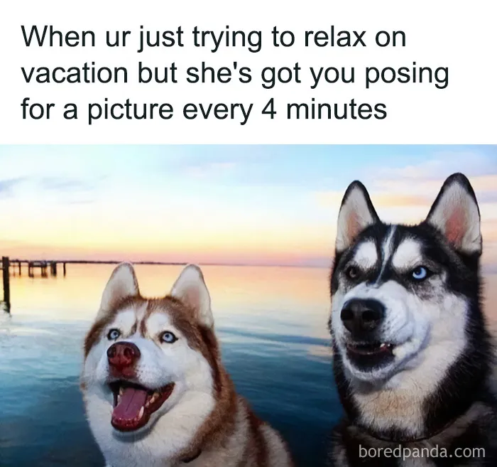 Travel Memes That Capture The Chaos Of Going On Vacation