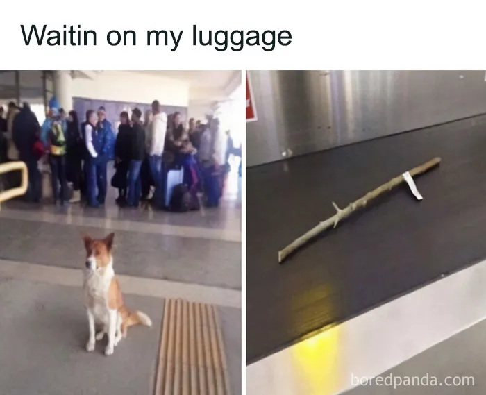 Travel Memes That Capture The Chaos Of Going On Vacation