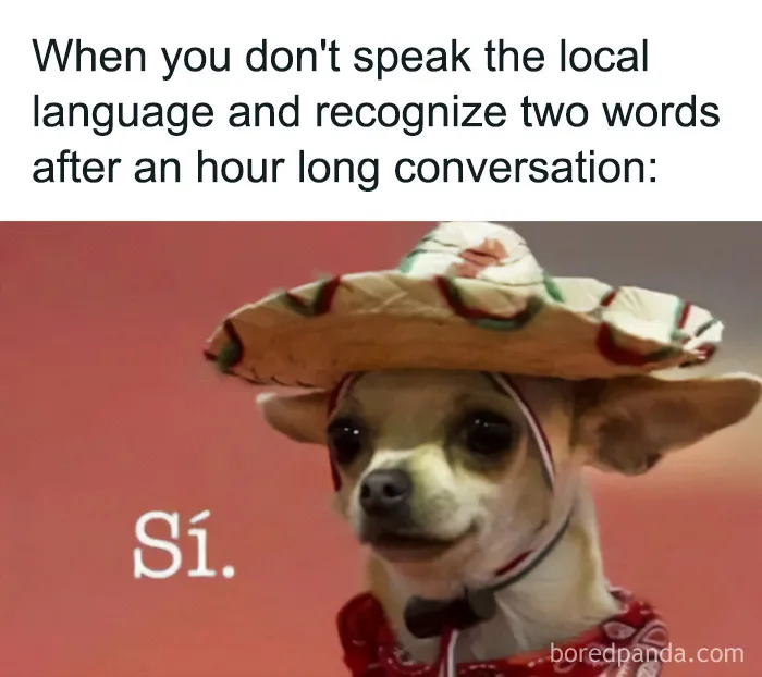 Travel Memes That Capture The Chaos Of Going On Vacation