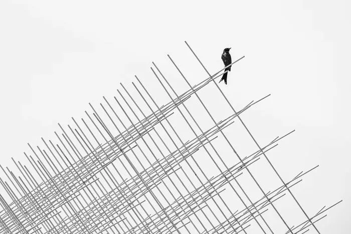 “Repose” By Kuolun Hsu