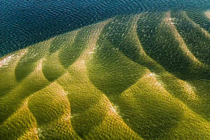 A Playground Of The Tides, The Wadden Sea World Heritage Site By Martin Stock