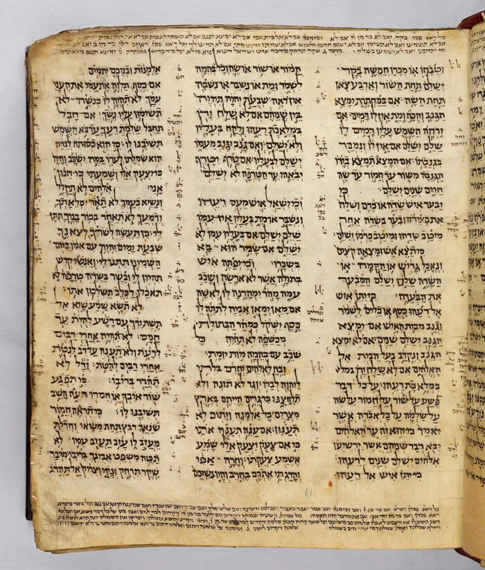 $38.1 Million, Codex Sassoon