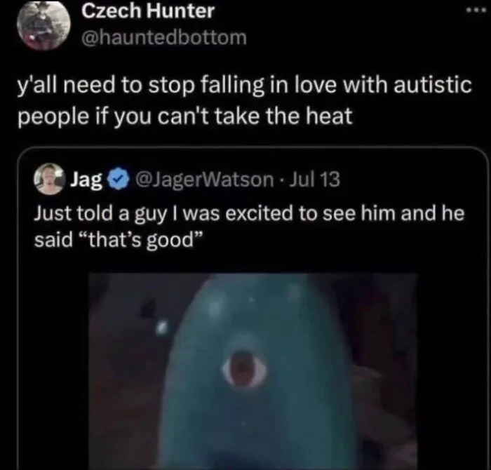 A neurodivergent brain meme about falling in love with autistic people and taking the heat.