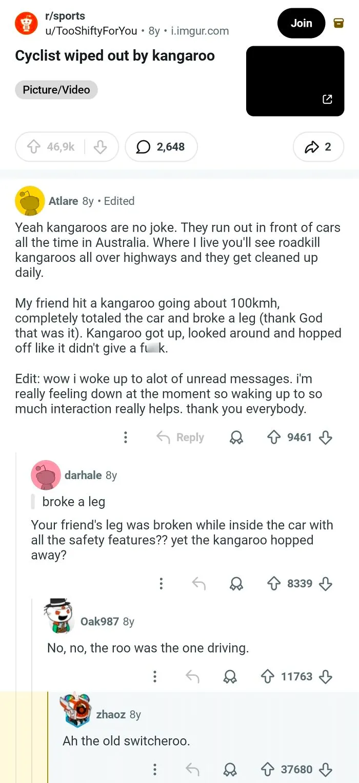 Cyclist Wiped Out By Kangaroo