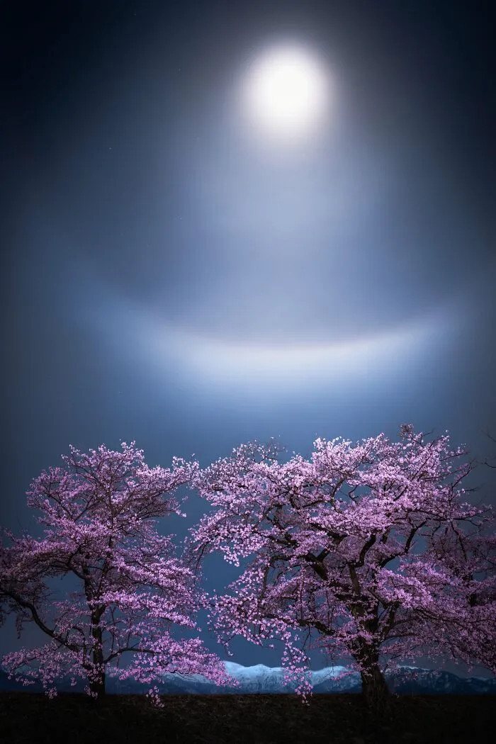 “Setsu-Getsu-Ka” By Takanobu Kurosaki