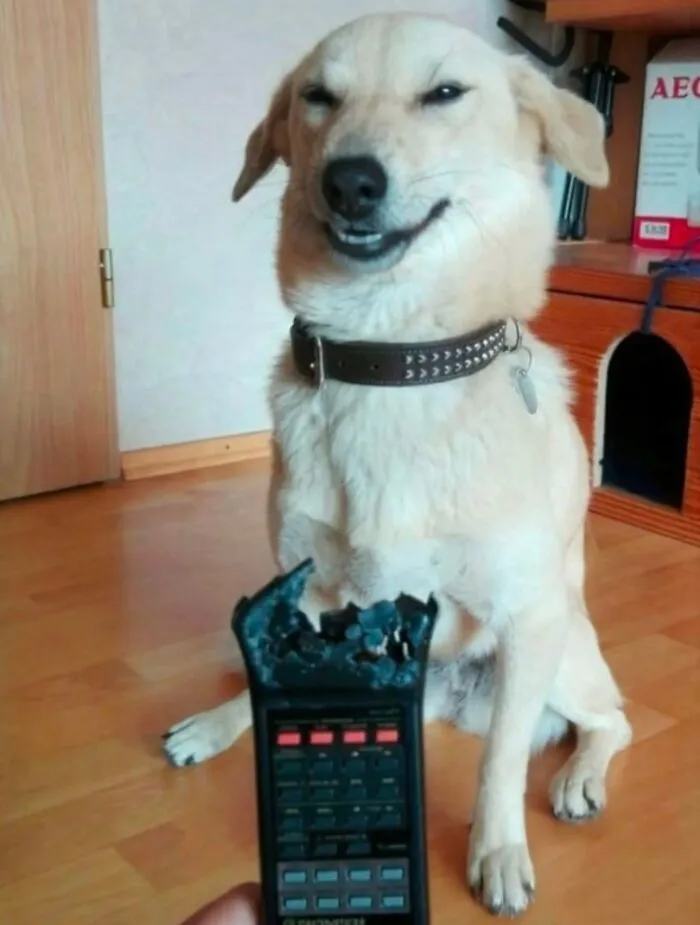75 Funny Pictures That Somehow Keep Getting Weirder By The Second