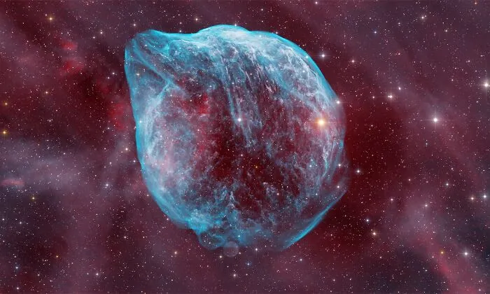 Celestial Dolphin By Elizabeth Armarego: Deep Sky Honorable Mention