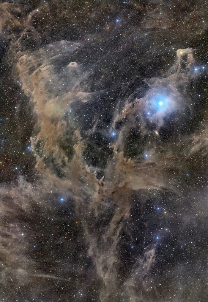 The Rippling Flames – Chamaeleon III By Andy Campbell: Deep Sky Winner