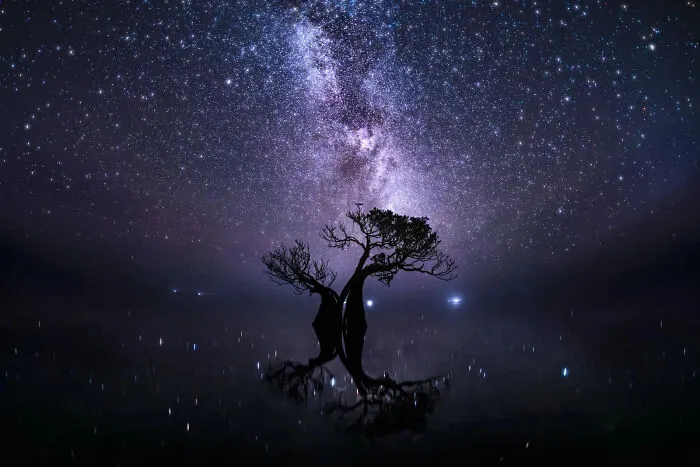 Where Time Stands Still By Ryuhei Suguri, Platinum Winner (Amateur)
