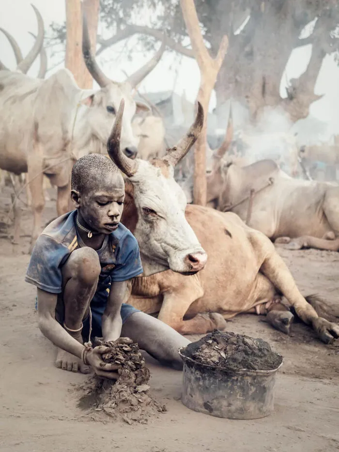 The Poetry Of Dust And Horn By Gabi Steiner, Platinum Winner (Amateur)