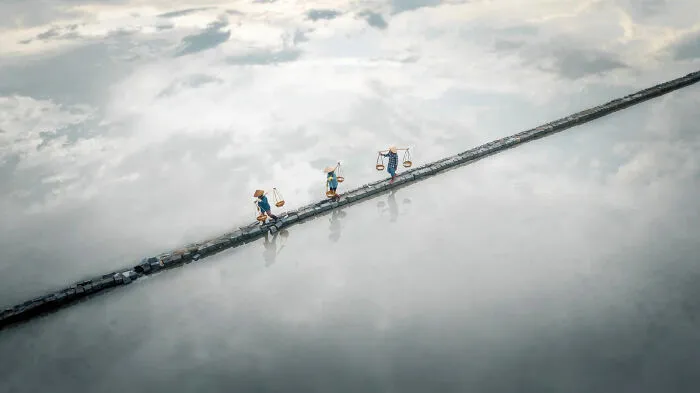 The White Harvest By Thea Mihu, Photographer Of The Year (Amateur)