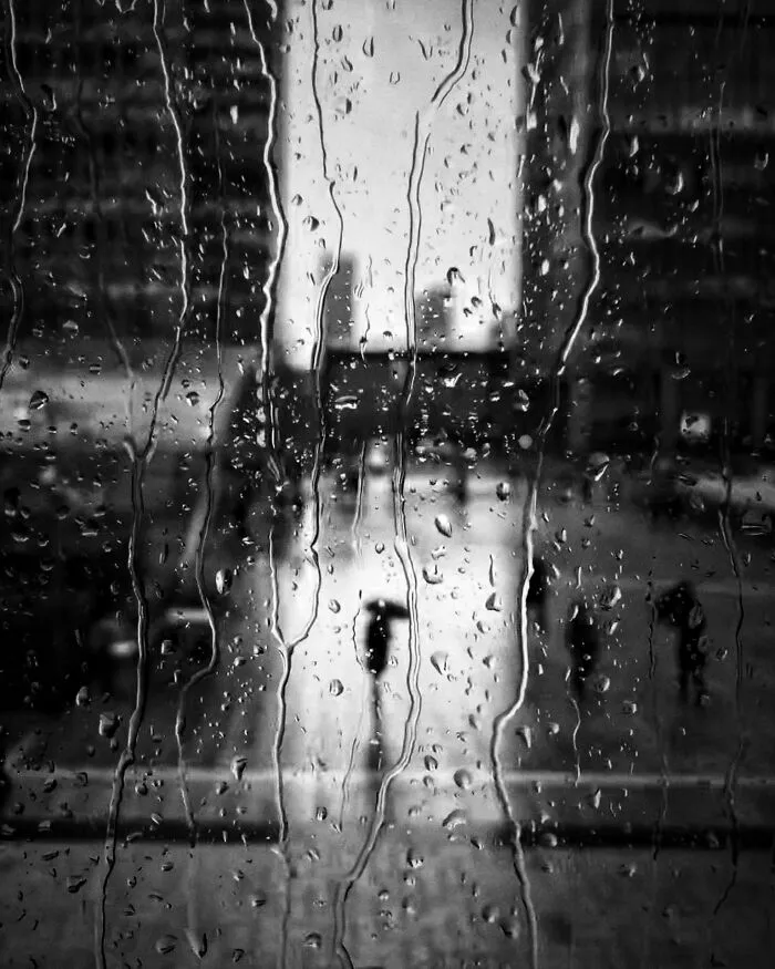 “Gimme Shelter” By Andrew Gimblet
