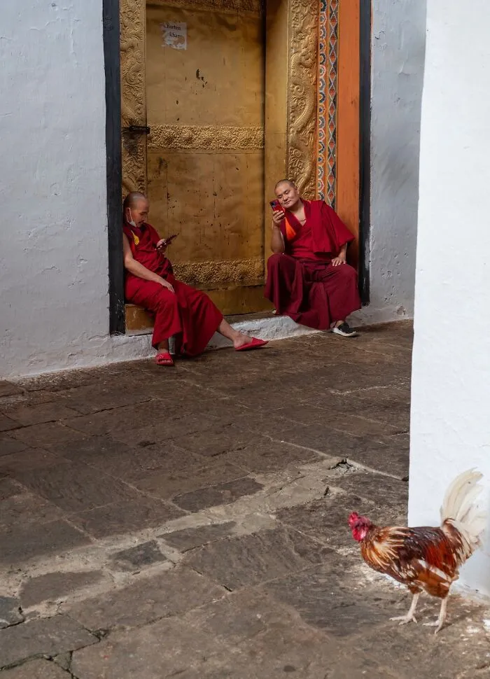 “Dialing In On Zen” By Shruti Bansal