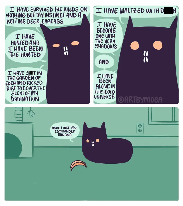 Meet Shadowfang, The Dramatic Black Cat That Inspired Med Adams’ 28 Relatable Comics