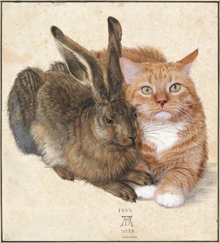 “Young Hare And Wise Cat”