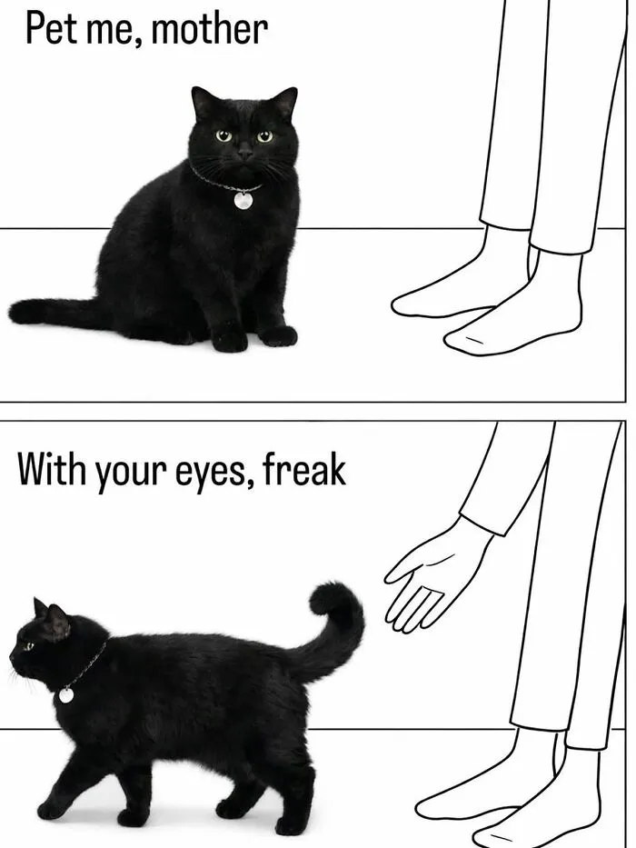 These 50 Memes Shared By This Page Capture The Wonderful Chaos Of Living With A Cat