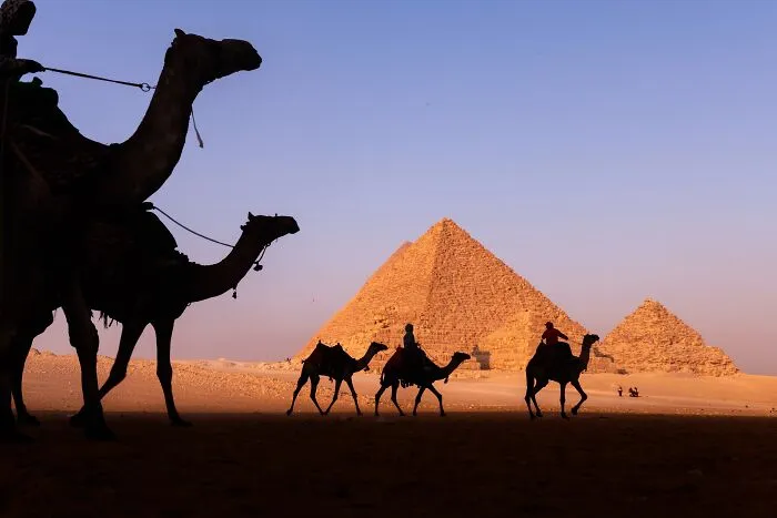 Murat Bakmaz captures the easily missed beauty of a camel caravan silhouetted against the Egyptian pyramids.