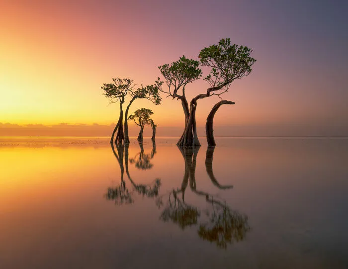 Landscape, 3rd Place: Stillness Beyond Time By Ciaran Willmore