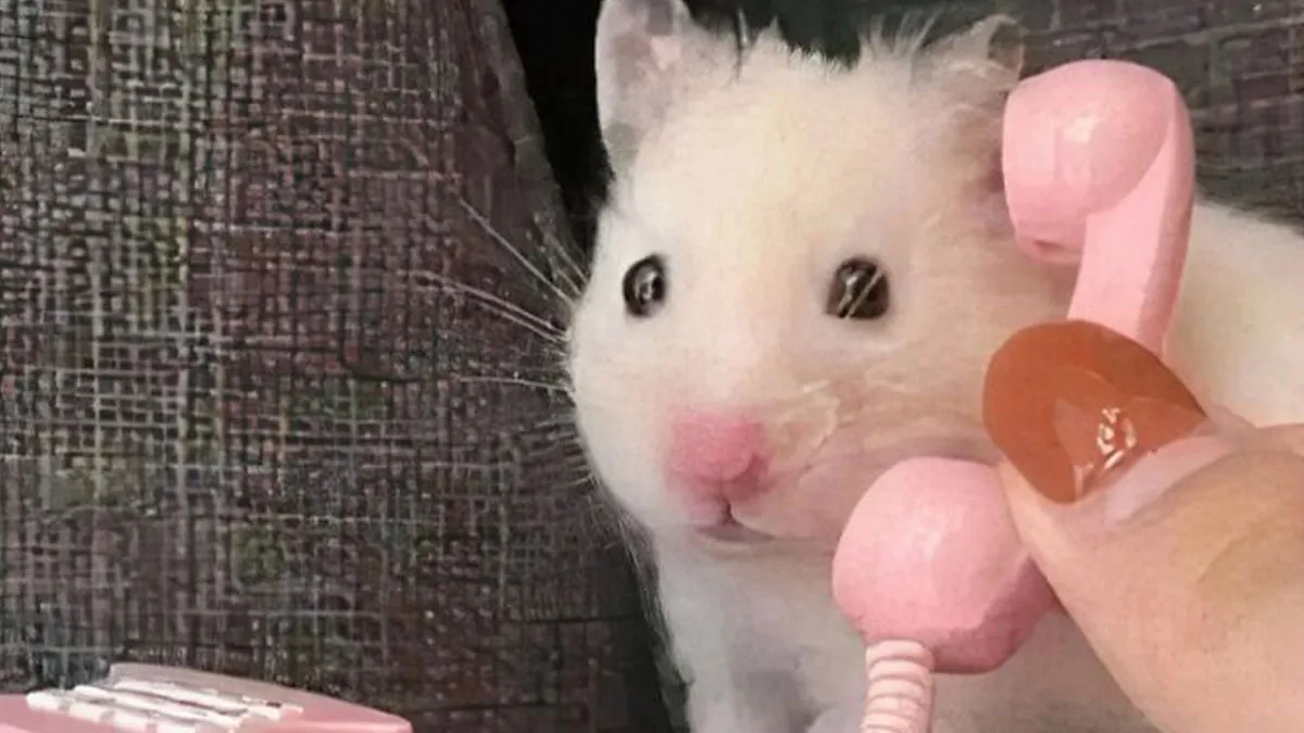 97 Hilarious, Wholesome And Adorable Animal Moments Perfectly Turned Into Memes