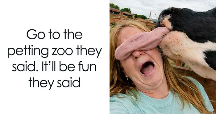 97 Hilarious, Wholesome And Adorable Animal Moments Perfectly Turned Into Memes