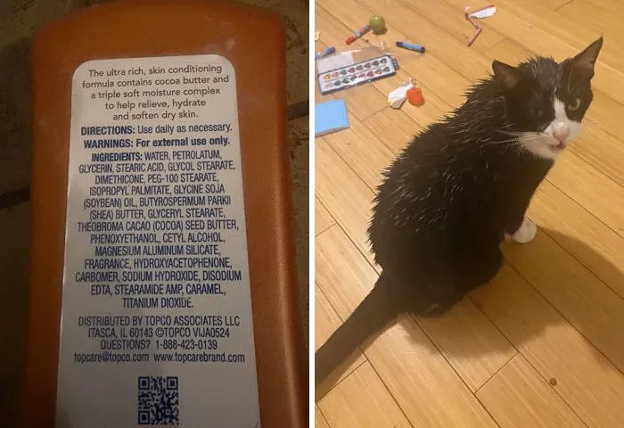 Child Moisturized Cat