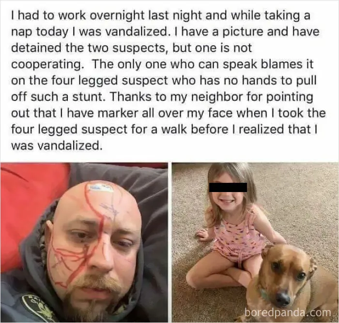 Blaming On A Doggo. Heckin Bamboozled