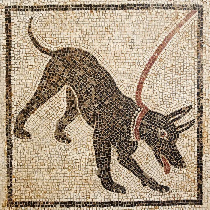 "Cave Canem" ("Beware Of Dog") Mosaic, House Of The Tragic Poet, Pompeii