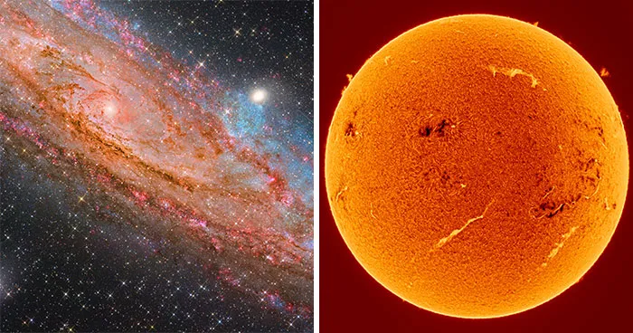 The Universe Like You’ve Never Seen It: 29 Jaw-Dropping Astronomy Photos From The 2026 Zwo Shortlist