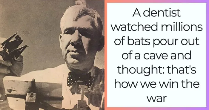 Project X-Ray: The US Idiot-Proof Plan To Win WWII With An Army Of Bats