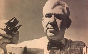 Project X-Ray: The US Idiot-Proof Plan To Win WWII With An Army Of Bats