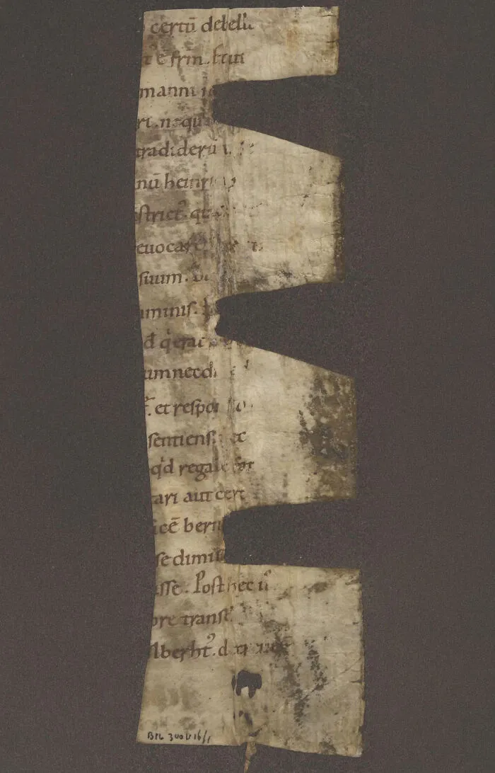Carolingian Manuscript Fragment