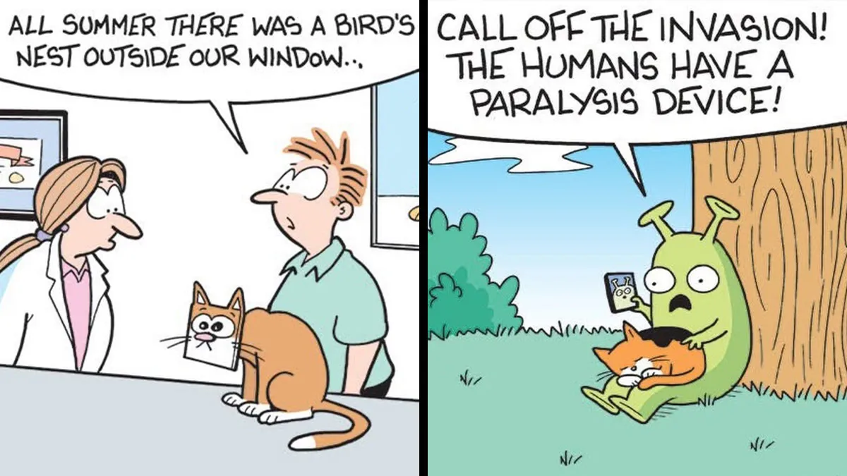 36 New Comics That Capture The Odd Little Habits Every Cat Owner Knows