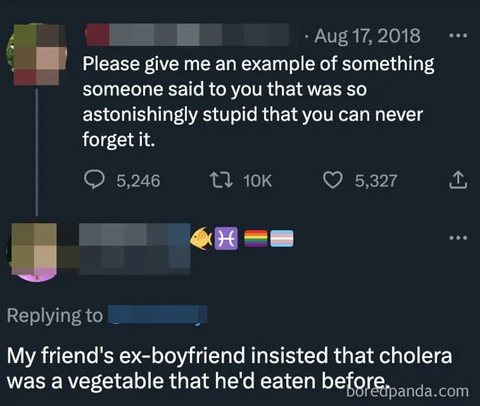 I Love A Good Cholera Casserole
