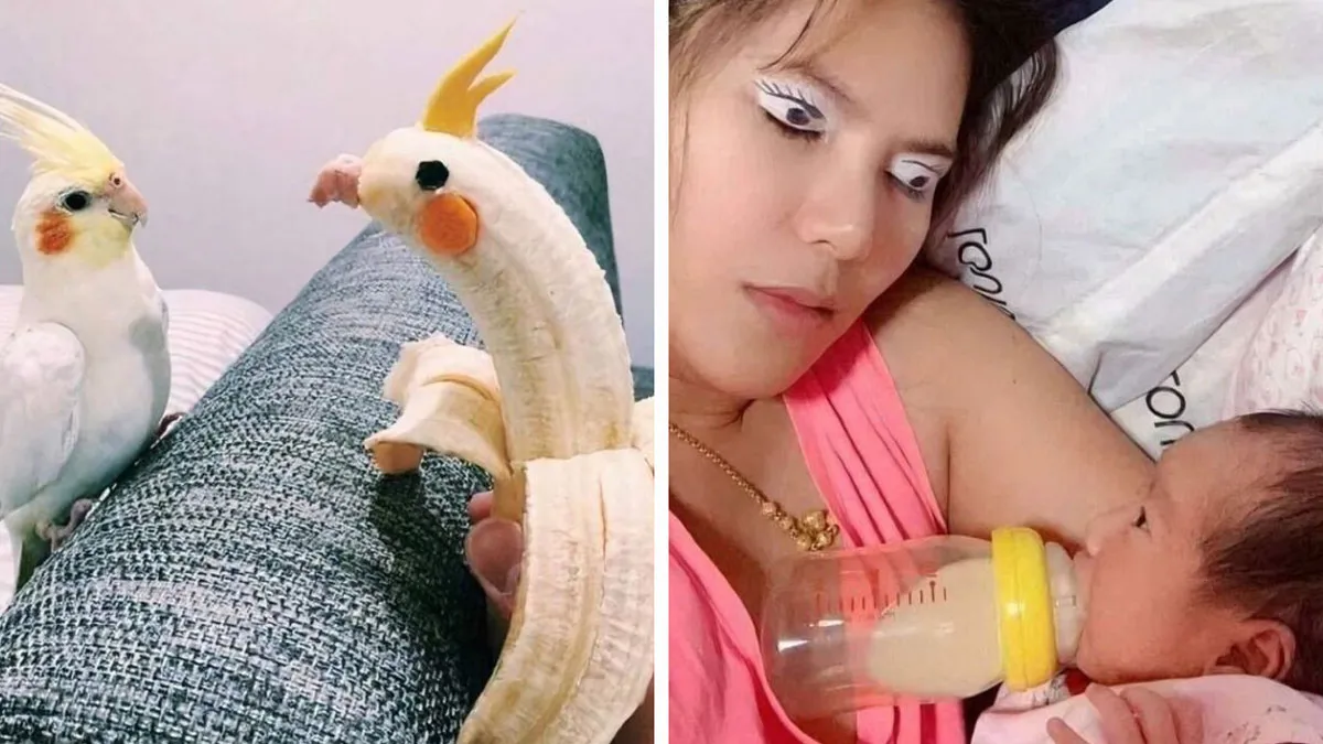 89 “Hmmm” Images That Nobody Asked For, But Everyone Needed